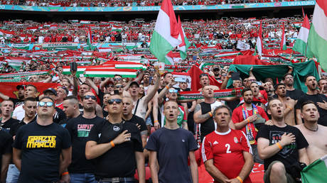 Hungary fans massed before their team took on France. © Reuters