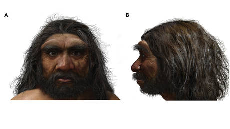 Ancient 140K-year-old &lsquo;Dragon Man&rsquo; skull found hidden in Chinese well where it languished, abandoned, for decades