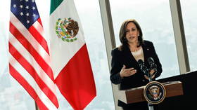 ‘It’s an honor, I voted for you!’ Mystery woman fawns over Kamala Harris at Mexico presser, as news org disavows her as reporter