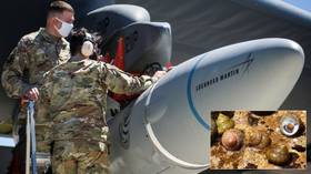Four snails & 90 clams could be killed in upcoming hypersonic missile test, US Air Force warns