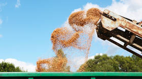 Russia boosts grain sales as floating tax on wheat exports bears fruit