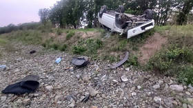 Ticked off: Family injured in horror car crash in remote Russian region after BLOOD-SUCKING INSECT crawled onto startled driver