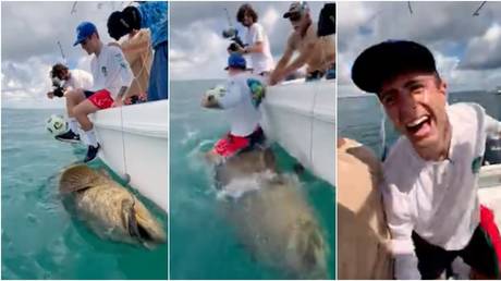 Bad tackle: Chelsea ace Pulisic in hot water with animal rights groups after &lsquo;abusing&rsquo; fish in social media stunt (VIDEO)