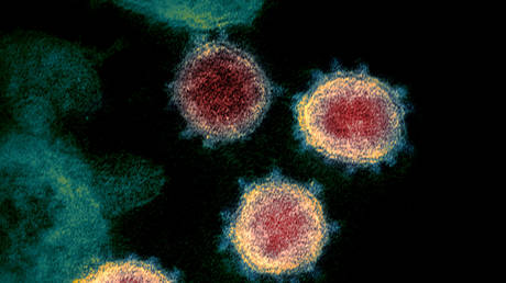 Moscow Mutation? Siberian Strain? WHO puts Covid-19 variant first discovered in Russia on special list for &lsquo;extra monitoring&rsquo;