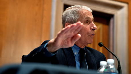 FILE PHOTO: Anthony Fauci speaks during a Senate hearing in Washington, DC.