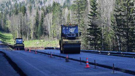 Germany says &lsquo;Sorry, but no&rsquo; to Siberian village after locals ask Merkel to encourage local government to build paved road