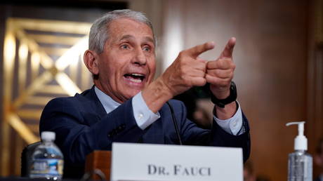 Dr. Anthony Fauci is shown gesturing while giving heated testimony on Tuesday in a Senate hearing in Washington.