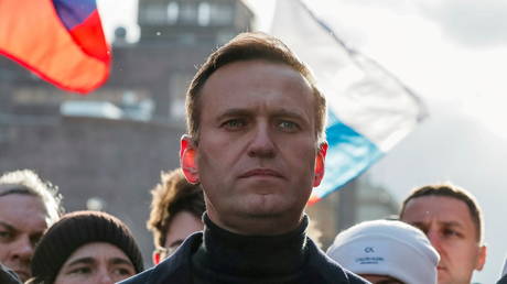 Alexei Navalny. © Reuters / /Shamil Zhumatov