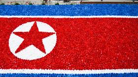 US uses humanitarian aid for ‘sinister political purposes,’ says analysis published by North Korean Foreign Ministry