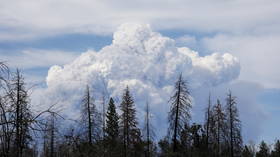 California utility PG&E admits it probably started ANOTHER devastating wildfire years after triggering record-breaking destruction