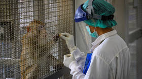 La lâcheté morale de l'Occident vis-à-vis des droits des animaux a aidé la Chine à devenir un leader mondial de la recherche biotechnologique