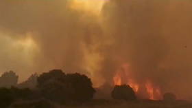 EU sends help to Italy as hundreds are evacuated from island of Sardinia amid wildfires raging for days (VIDEOS)