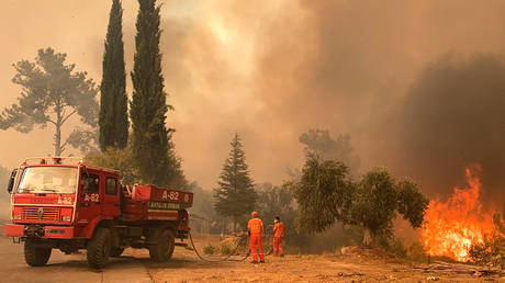 A firefighter battles with fire during a massive wildfire which engulfed a Mediterranean resort region on Turkey's southern coast near the town of Manavgat, on July 29, 2021. © AFP / Ilyas AKENGIN