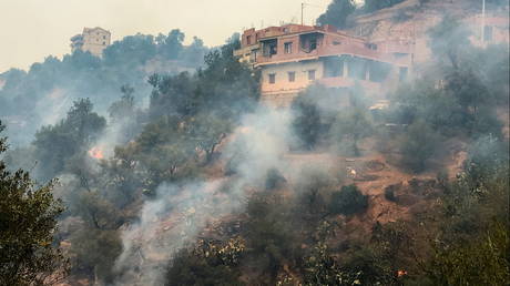 Smoke rises from a forest fire in the mountainous Tizi Ouzou province, east of the Algerian capital, Algiers, August 10, 2021.© Reuters / Abdelaziz Boumzar