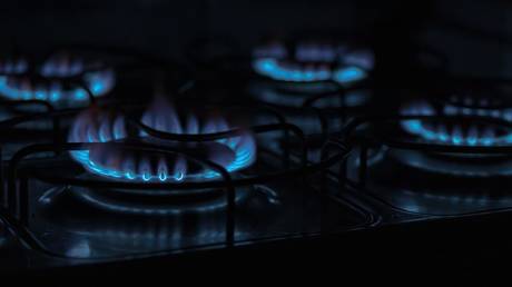 Russia & Hungary agree on terms of Russian gas supply for 15 years