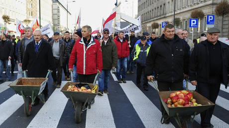 FILE PHOTO. Polish farmers at a protest against the Russian ban on the import of their country's fruit and vegetables, Warsaw, Poland, November 4, 2014. © Sputnik / Philip Klimaszewski