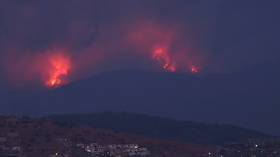 ‘Our lungs are burning’: Turkish mayor issues desperate plea for help as raging wildfires close in on power plant
