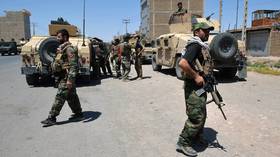 Taliban captures NINTH Afghan regional capital in less than a week – reports