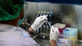 Таиланд испытает две отечественные назальные вакцины против COVID на людях после успешных испытаний на мышах