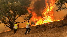 Algeria says 22 arsonists arrested for string of ‘disaster’ wildfires that killed at least 65