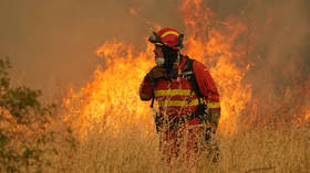 1,000 people evacuated in rural Spain as wildfire blazes through 12,000 hectares of land (PHOTOS, VIDEOS)