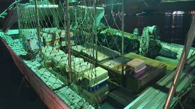 (Un)necessary evil? Taiwan authorities spark outcry after KILLING 154 rare-breed cats seized from smugglers