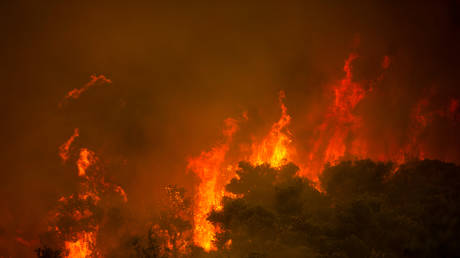 A wildfire burns a forest in the village of Villa, Northwestern Athens, on August 18, 2021 © ANGELOS TZORTZINIS / AFP