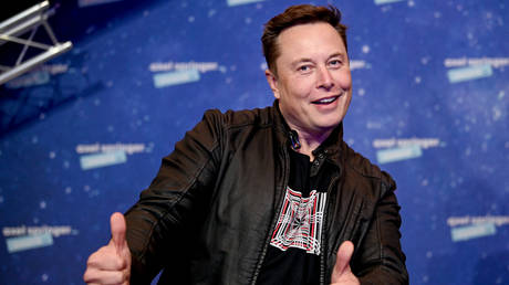 SpaceX owner and Tesla CEO Elon Musk. © AFP / Britta Pedersen