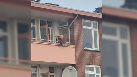 2 killed, one injured in eastern Netherlands, suspect arrested, reportedly armed with crossbow