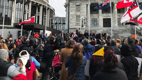 FILE PHOTO. Ministers address hundreds of Maori protesters gathered to demonstrate against what protesters say is the disproportionate number of Maori children taken by social service agencies from their families, outside parliament in Wellington, New Zealand. © Reuters / Praveen Menon