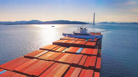 Trade turnover between Russia’s Far East and China tops $10 billion