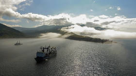 Russia to establish tax-free zone on Kuril Islands to attract business & draw investors – Putin
