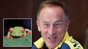 ‘All avenues for his detention were exhausted’: Details leading up to ISIS-inspired knife rampage in New Zealand released