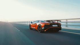 Got it all on tape! Russian cops make arrest over viral clip of blogger stuck to side of sports car speeding off at 180kph