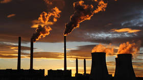 Natural gas deficit may force Europeans to switch back to coal – expert