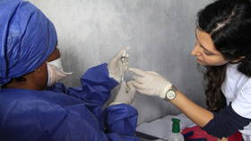 Ebola ‘defeated’ after 40-year-fight against a ‘terrifying and deadly disease,’ professor who discovered virus declares