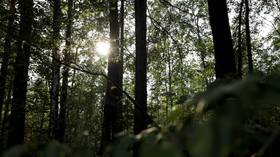 “National system of greenhouse gas monitoring”: first carbon test site opens in Tyumen Region