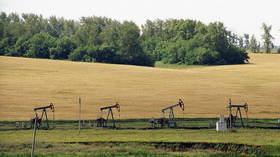 Russian oil reserves to last 30 years at current production levels – experts