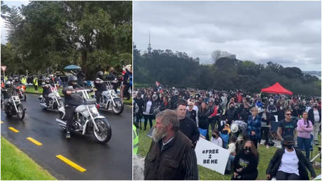 Protesters are seen at the Auckland Domain park to protest New Zealand's ongoing Covid-19 lockdown measures, in Auckland, New Zealand, October 2, 2021.