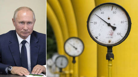 (L) Vladimir Putin © Sputnik / Alexei Druzhinin / Kremlin via REUTERS; (R) © REUTERS / Gleb Garanich