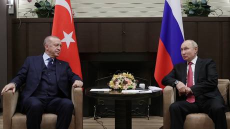 FILE PHOTO. Russian President Vladimir Putin and Turkish President Recep Tayyip Erdogan attend a meeting at the Bocharov Ruchei state residence in Sochi, Russia.