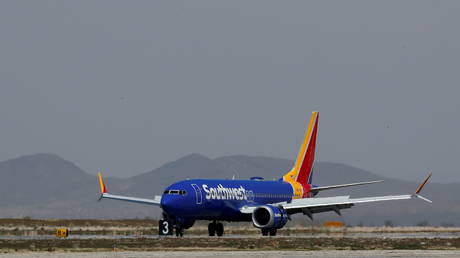 FILE PHOTO: A Southwest Airline Boeing 737 MAX 8 aircraft lands at Victorville Airport in Victorville, California, March 26, 2019 © Reuters / Mike Blake