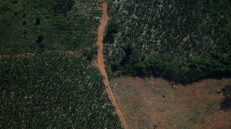 An aerial view shows a deforested plot of the Amazon rainforest in Rondonia State, Brazil September 28, 2021. Picture taken September 28, 2021. © REUTERS / Adriano Machado
