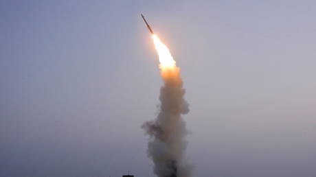 FILE PHOTO: A missile is seen during a test launch by North Korea's Academy of Defense Science, October 1, 2021.