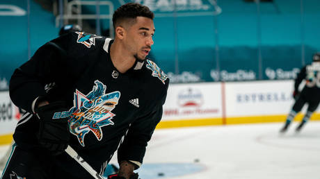 Evander Kane has been banned for 21 games © Neville E Guard / USA Today Sports via Reuters