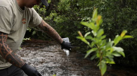 Forests have become net carbon emitters, researchers say, blaming human activity and climate change in UNESCO sites study
