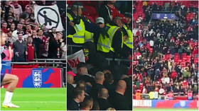 Baton-wielding cops and fans clash in violent scenes after ‘racially-aggravated incident’ during England game with Hungary (VIDEO)