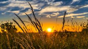 Russia to hike wheat export duty again next week