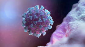 Coronavirus A.30 variant ‘efficiently evades’ antibodies induced by Pfizer & AstraZeneca vaccines – lab study