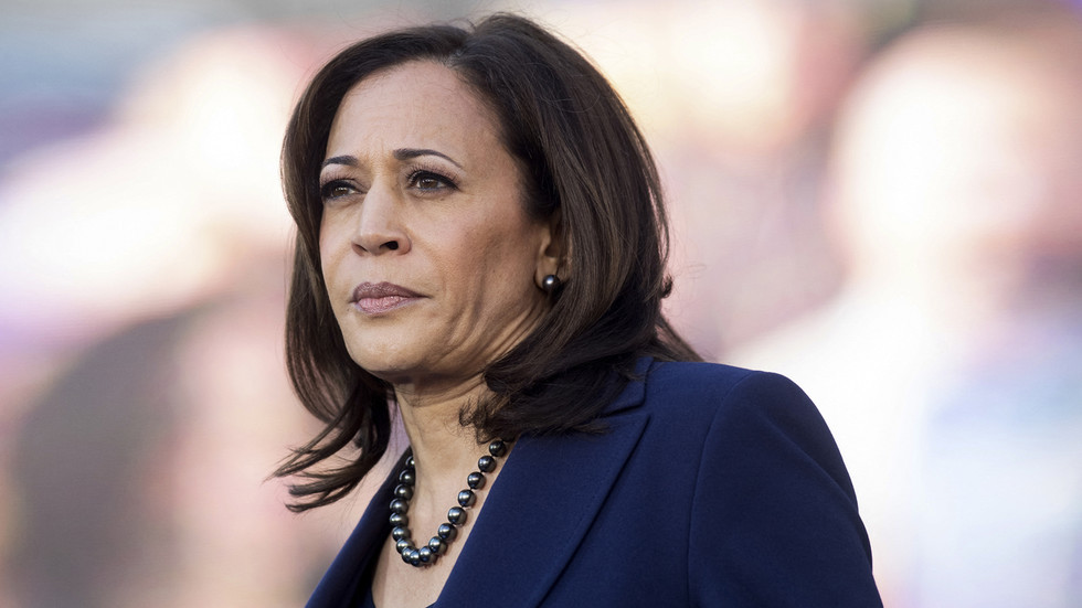 Why Democrats got stuck with Kamala Harris